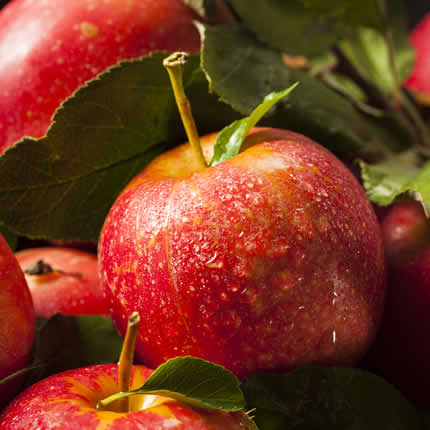 Äpfel